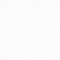 Monolook White Lappato 59,8/59,8