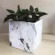 Kvetináč YS44148M ceramic Sq Water Transfer Effect 12,5,2