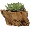 Kvetináč YS44396A cement 14x11x8,5 Antique Brown,2