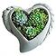 Kvetináč YS44384M cement Heart 18,5x18,5x7,5 Antique White,2