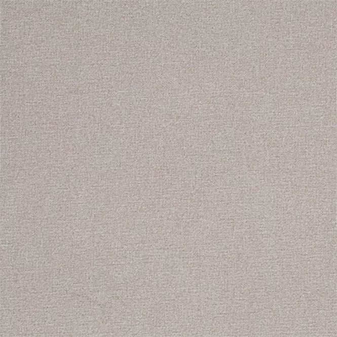 Záves na krúžkoch YH2024/4/140x250 cm béžový