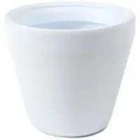 biela