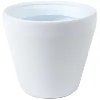 biela