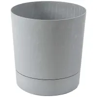 sivá