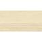 PURRA CREMA 59.8/119.8,4