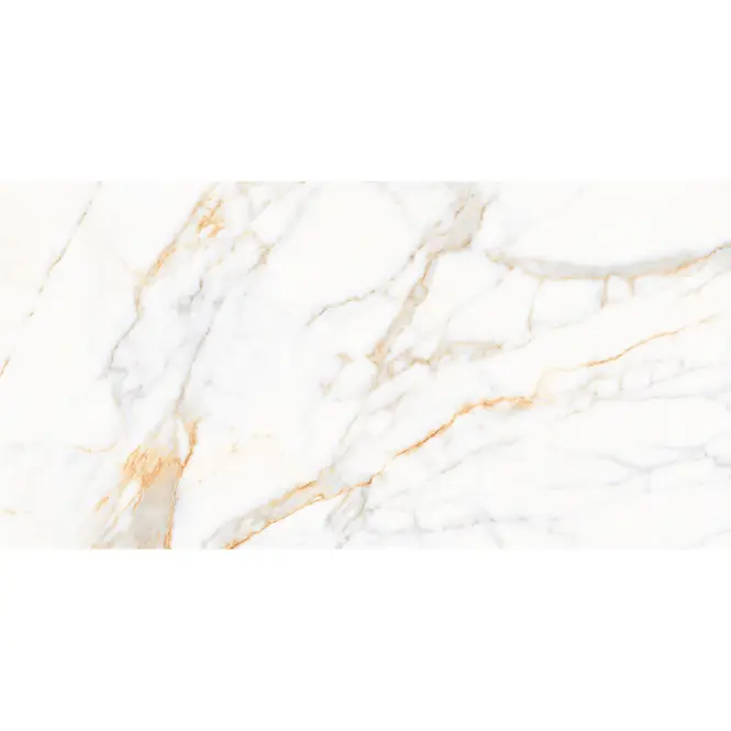 Gresová dlažba Calacatta Paonazzo Mat Carving 60/120