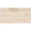 Aurelia Wood Carving 60/120