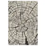 Koberec Frisee Phoenix 1,2/1,7 6021 244