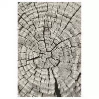 Koberec Frisee Phoenix 1,2/1,7 6021 244