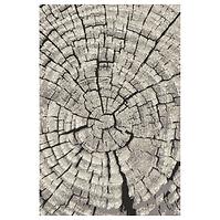 Koberec Frisee Phoenix 1,2/1,7 6021 244