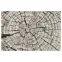 Koberec Frisee Phoenix 1,2/1,7 6021 244,2