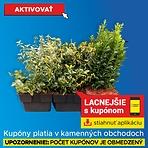 Bršlen Euonymus P17 mix (SK)