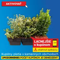 Bršlen Euonymus P17 mix (SK)
