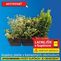 Bršlen Euonymus P17 mix (SK)