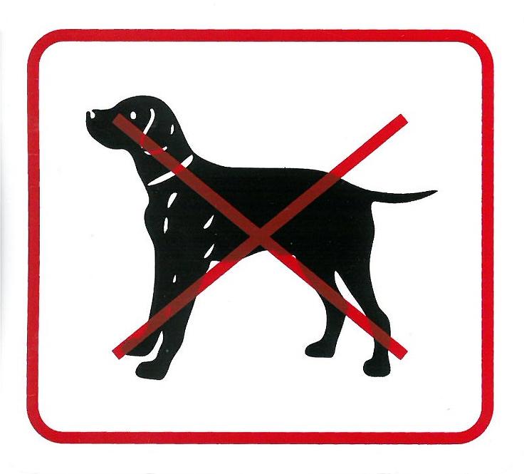 Zákaz vstupu se psem 110x90 mm samolepka