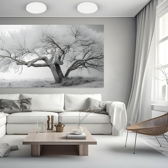 Stropnica MAQ ML1661 24W CCT WHITE PL