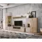 TV stolík Catalina dub Viking/Kašmír,4