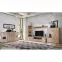 TV stolík Catalina dub Viking/Kašmír,5