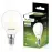 Žiarovka LED  FIL FR 7W E14 806LM 4000K