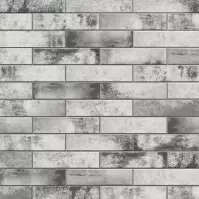 Piatto Gris 7.4/30