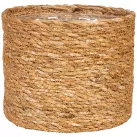 Kôš  508/22 NUT