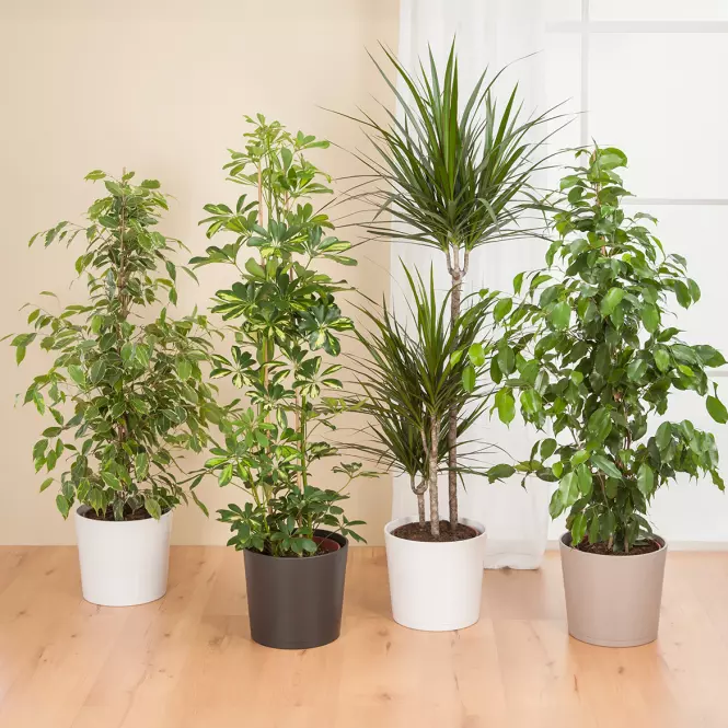 Obal ANTHRAZIT 883/15,2