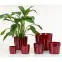 Obal DARK RED 883/13,2
