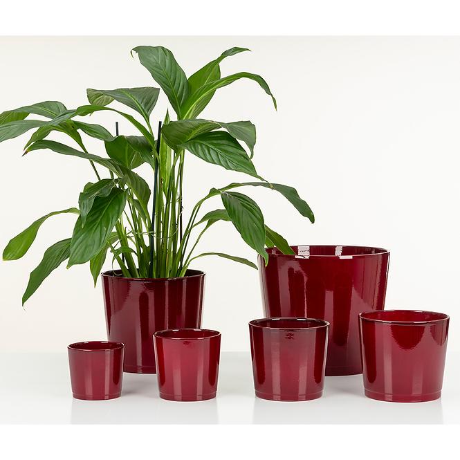 Obal DARK RED 883/15