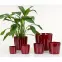 Obal DARK RED 883/15,2