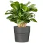 Obal NERO 224/30,2