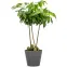 Obal NERO 226/40,2