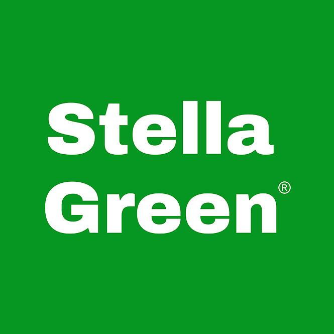 Zatrávňovacia dlažba 575x380x40 mm SG6BSG6 Stella Green