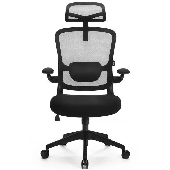 Kancelárske kreslo Ergo Basic Lv0652
