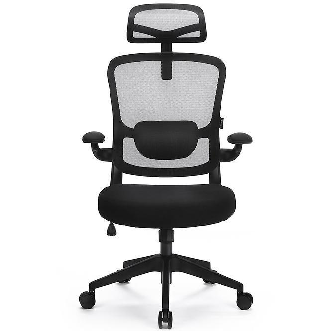 Kancelárske kreslo Ergo Basic Lv0652