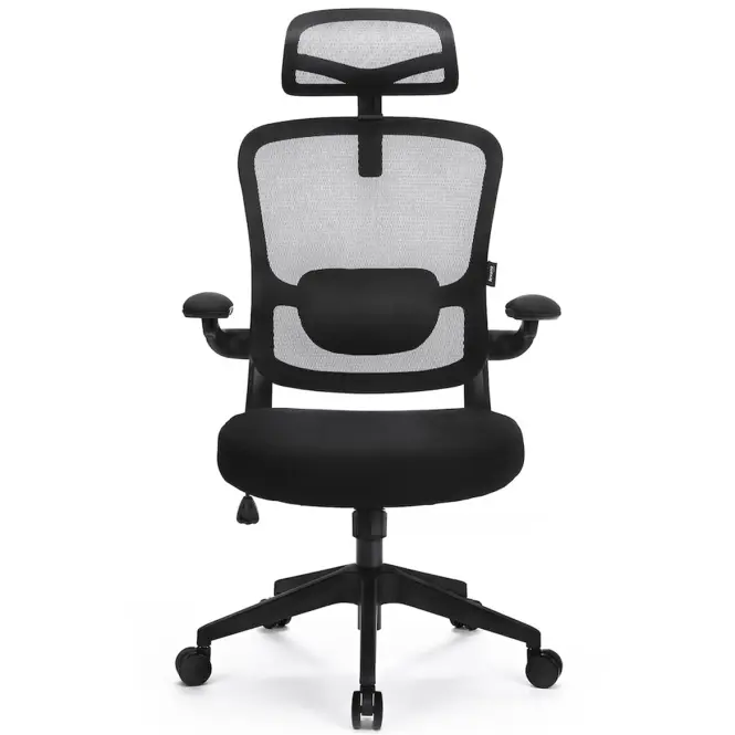 Kancelárske kreslo Ergo Basic Lv0652,10