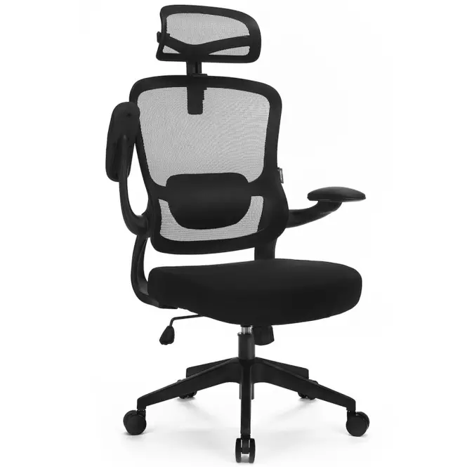 Kancelárske kreslo Ergo Basic Lv0652