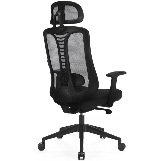Kancelárske kreslo Ergo Essential Lv0653,6