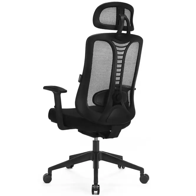 Kancelárske kreslo Ergo Essential Lv0653