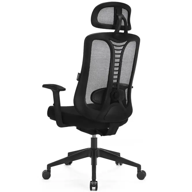 Kancelárske kreslo Ergo Essential Lv0653,7