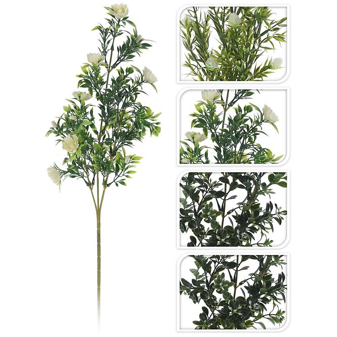 Jedna vetva 66CM
