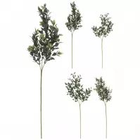 Jedna vetva 66CM