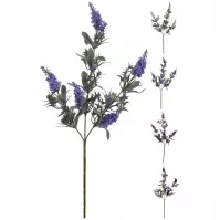 Jedna vetva 68CM