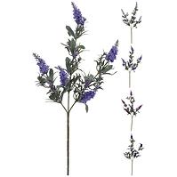 Jedna vetva 68CM