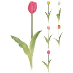Mini tulipán 40CM 5ASS CLR