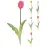 Mini tulipán 40CM 5ASS CLR