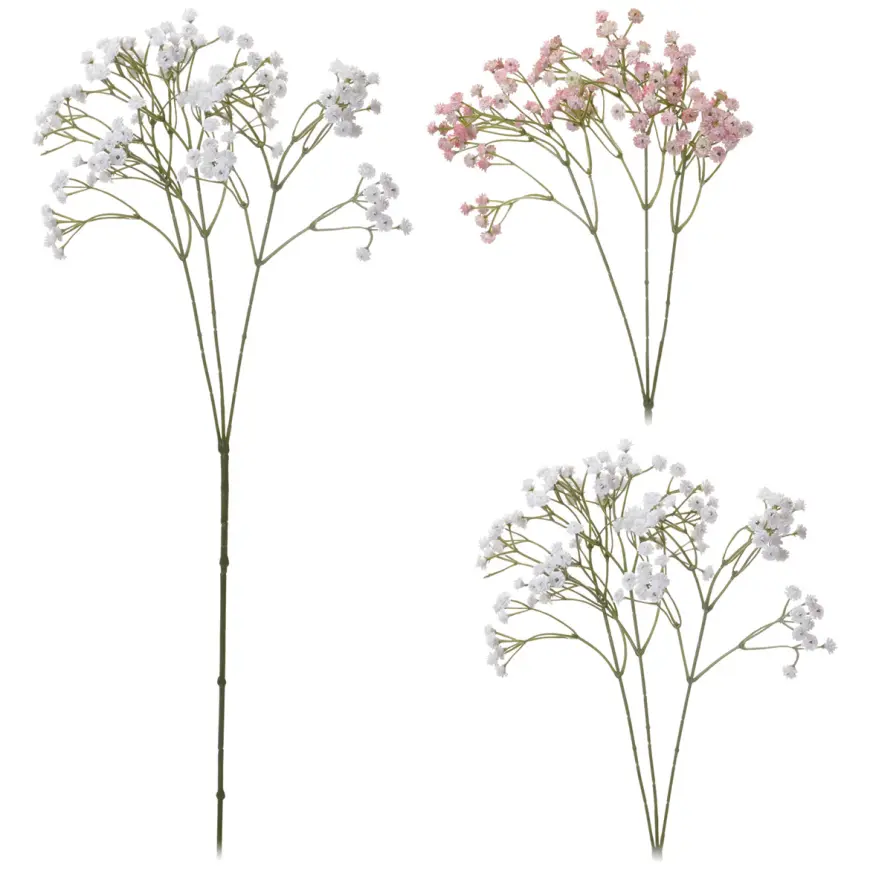 Gypsomilka metlinatá  68 cm