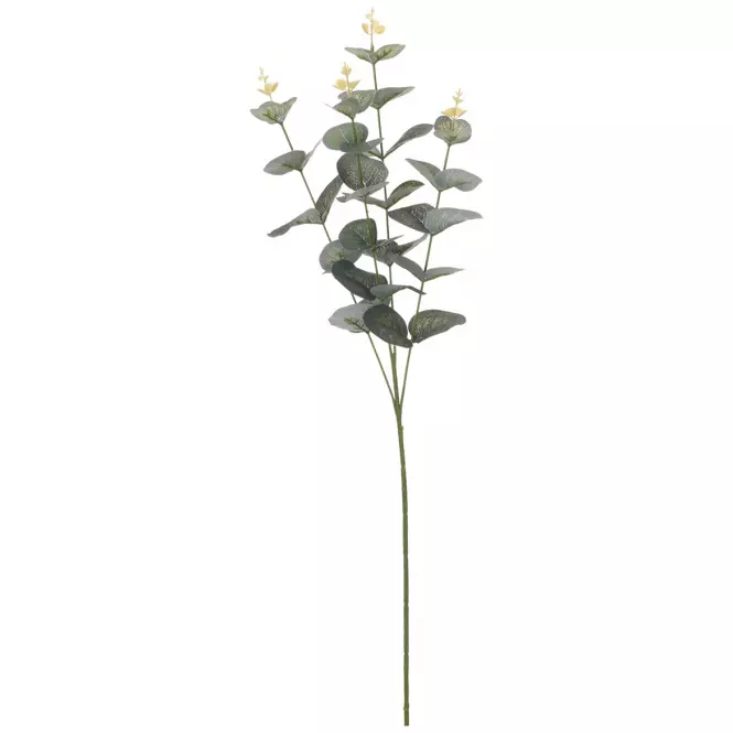 Eukaliptus 65cm