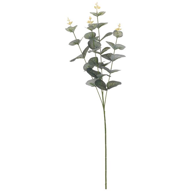 Eukaliptus 65cm