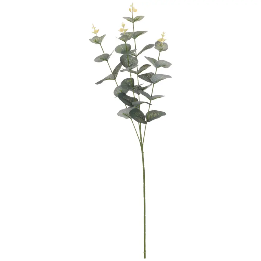 Eukaliptus 65cm