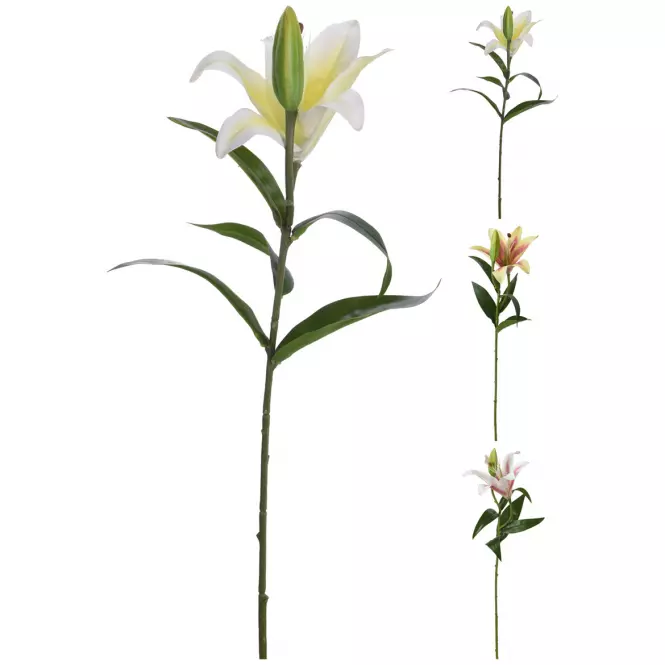 85KK 318800230 LILIA 59CM 3DAS